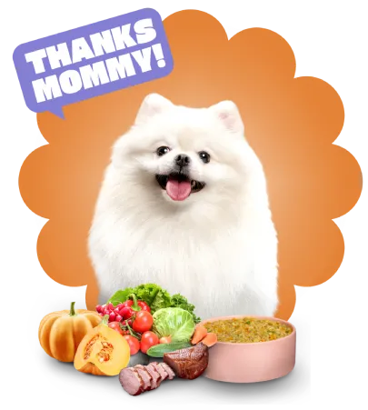 dog_said_thanks_mommy